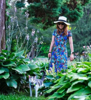 Illustration de l'article : 14 photos de chats heureux d’accueillir le printemps