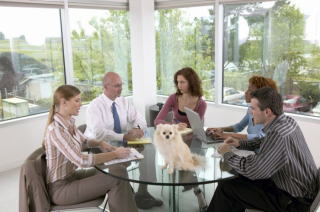 Illustration de l'article : 20 photos de chiens qui passent du temps au bureau avec leur maître