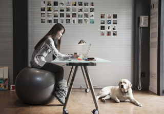 Illustration de l'article : 20 photos de chiens qui passent du temps au bureau avec leur maître