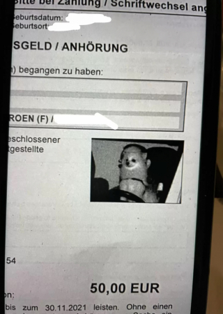 Illustration de l'article : Un radar a flashé une scène invraisemblable lors d’un excès de vitesse : c’est un chien qui se trouvait sur le siège conducteur