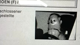 Illustration de l'article : Un radar a flashé une scène invraisemblable lors d’un excès de vitesse : c’est un chien qui se trouvait sur le siège conducteur