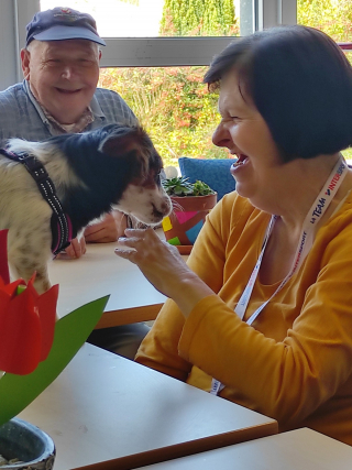 Illustration de l'article : En accompagnant sa ma&icirc;tresse au travail, cette petite chienne apporte chaque jour du bonheur aux r&eacute;sidents d&rsquo;un EHPAD