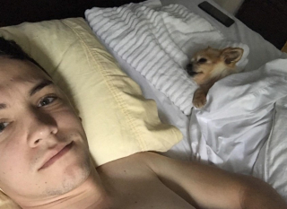 Illustration de l'article : 12 photos d'animaux de compagnie ayant réservé de drôles de surprises matinales à leurs humains