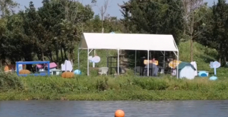 Illustration de l'article : En Chine, une petite île est désormais réservée aux chats errants, comme un refuge à ciel ouvert