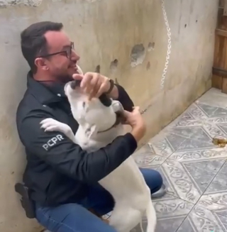 Illustration de l'article : Une chienne enchaînée remercie de la plus belle des manières son héros venu la libérer (vidéo)