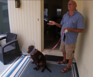 Illustration de l'article : Un homme n'hésite pas à sauter dans l'eau pour affronter l'alligator qui s'en prenait à son chien