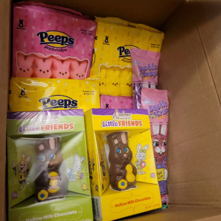 Illustration de l'article : Ils s’attendaient à une triste découverte en ouvrant le carton censé contenir des lapins abandonnés devant un cabinet vétérinaire