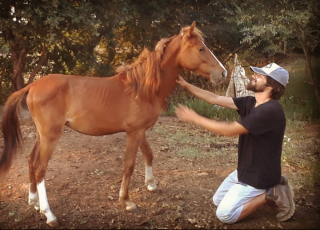 Illustration de l'article : Promis à une belle carrière dans le mannequinat, cet homme a tout plaqué pour s’occuper des animaux errants