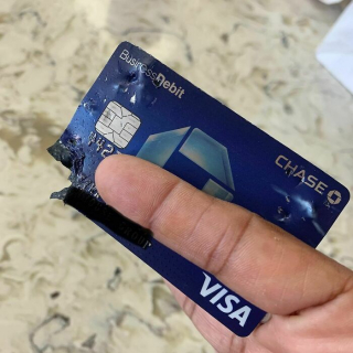 Illustration de l'article : 20 photos d'animaux qui avaient une revanche à prendre et qui l'ont fait avec panache