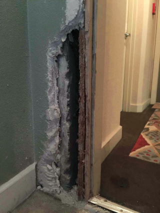 Illustration de l'article : 20 photos d'animaux qui avaient une revanche à prendre et qui l'ont fait avec panache