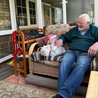 Illustration de l'article : Un chien abandonné et ayant risqué l'euthanasie voit sa patience récompensée après 500 jours au refuge