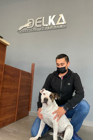 Illustration de l'article : Un chien squelettique abandonné au bord d’une rivière fait une rencontre décisive et devient méconnaissable