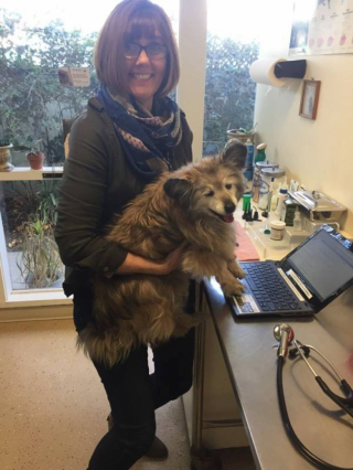 Illustration de l'article : Ce chien de 18 ans a été sauvé de l’euthanasie de justesse par une femme au grand cœur