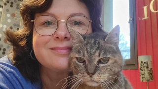 Illustration de l'article : Le retour inespéré de Vénus: un chat senior réuni avec sa famille d'origine après des années d'errance