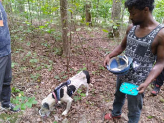 Illustration de l'article : Vidéo : après avoir passé 2 semaines coincé dans une grotte de 9 mètres de profondeur, ce chien retrouve enfin ses propriétaires