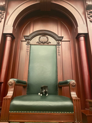 Illustration de l'article : Un chaton errant se fait adopter par les membres de l&rsquo;Assembl&eacute;e l&eacute;gislative de l&rsquo;ouest canadien