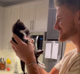 Illustration de l'article : La vidéo virale d’un homme endormi avec 2 chatons, alors qu’il était réticent à l’idée de les accueillir (vidéo)