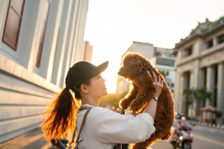 Illustration de l'article : 10 attitudes témoignant de la totale confiance de votre chien à votre égard