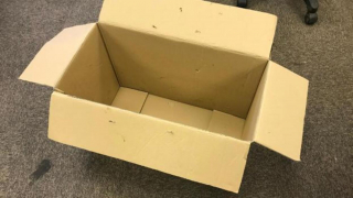 Illustration de l'article : Deux chats âgés retrouvés prisonniers d'une boîte scotchée : l'émouvante histoire de Ken et Deirdre