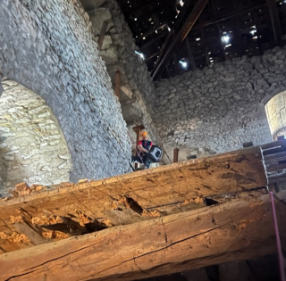 Illustration de l'article : Un chat se retrouve coincé pendant 3 jours dans un monument historique, dont l’intérieur est impraticable