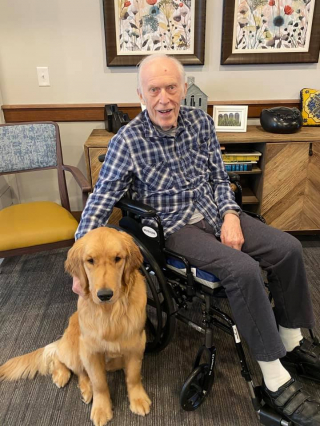 Illustration de l'article : Ce Golden Retriever redonne le sourire aux résidents d’une maison de retraite