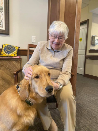 Illustration de l'article : Ce Golden Retriever redonne le sourire aux résidents d’une maison de retraite