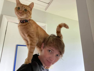 Illustration de l'article : 8 photos de chats qui ont trouvé le spot parfait et n'en bougeront pas d'un iota