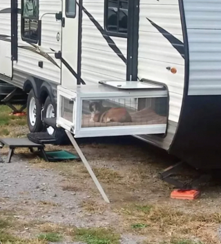 Illustration de l'article : 8 photos de chats qui ont trouvé le spot parfait et n'en bougeront pas d'un iota