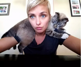 Illustration de l'article : 8 photos de chats qui ont trouvé le spot parfait et n'en bougeront pas d'un iota