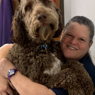 Illustration de l'article : Après le passage d’une tornade, la propriétaire d’une pension canine appelle à l’aide pour aider ses 11 chiens, restés au chenil