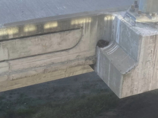 Illustration de l'article : Le sauvetage risqué d’un chaton coincé sur le bord d’un pont autoroutier, à plus de 15 mètres de hauteur