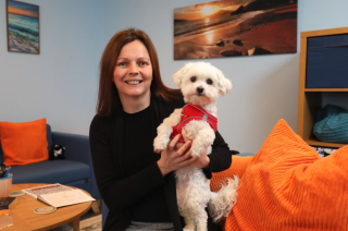 Illustration de l'article : Une petite chienne rend visite aux élèves d’une école une fois par semaine pour réduire leur anxiété