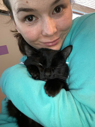 Illustration de l'article : 20 photos racontant l'histoire émouvante de 3 chatons passés de la rue à un foyer chaleureux