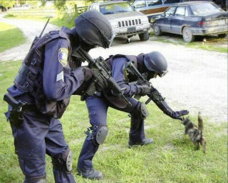 Illustration de l'article : 18 photos de chats et de chiens s'étant mis dans des situations hilarantes et improbables