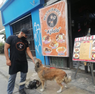 Illustration de l'article : Des chiens errants font la queue devant le restaurant d&rsquo;Ortiz, qui les nourrit gracieusement chaque soir