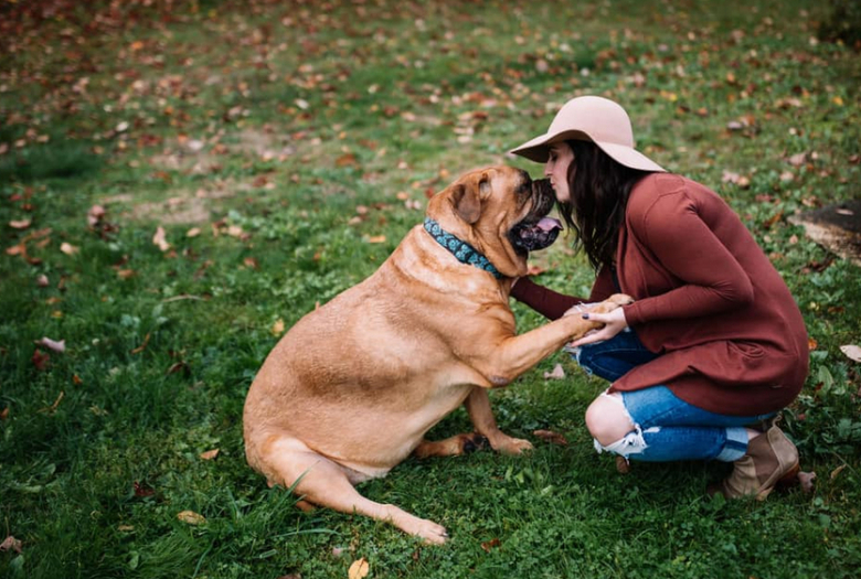 https://www.pets-dating.com/assets/ckeditor/2023/may/actualities/1955/xl/xx-photos-de-personnes-qui-ne-souhaitaient-pas-avoir-de-chien-et-qui-ont-change-d-avis-8fbfdcdbf.png