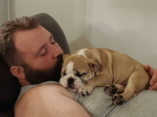 Illustration de l'article : 20 photos de personnes qui ne souhaitaient pas avoir de chien et qui ont changé d'avis