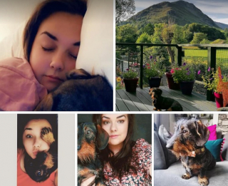 Illustration de l'article : 20 photos de personnes qui ne souhaitaient pas avoir de chien et qui ont changé d'avis