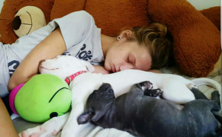 Illustration de l'article : 20 photos de personnes qui ne souhaitaient pas avoir de chien et qui ont changé d'avis