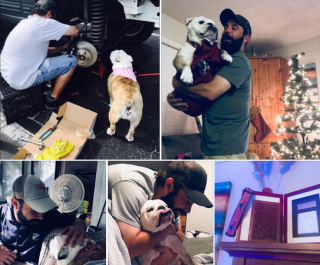 Illustration de l'article : 20 photos de personnes qui ne souhaitaient pas avoir de chien et qui ont changé d'avis