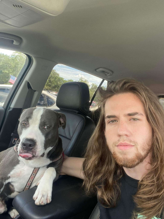 Illustration de l'article : Un nouveau départ pour Greyson : quand un chien errant devient roi des rues en skateboard électrique (vidéo)