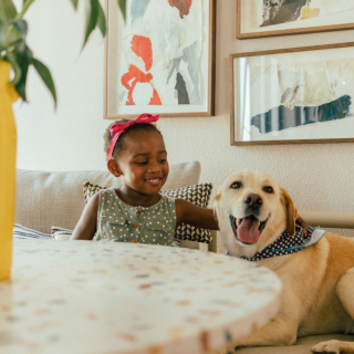 Illustration de l'article : En Afrique du Sud, un hôtel recueille des chiens errants et propose des services pour les animaux de compagnie