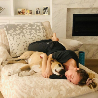 Illustration de l'article : 20 photos touchantes de célébrités follement amoureuses de leurs chiens