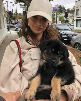 Illustration de l'article : 20 photos touchantes de célébrités follement amoureuses de leurs chiens