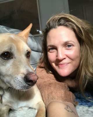 Illustration de l'article : 20 photos touchantes de célébrités follement amoureuses de leurs chiens