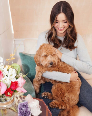 Illustration de l'article : 20 photos touchantes de célébrités follement amoureuses de leurs chiens