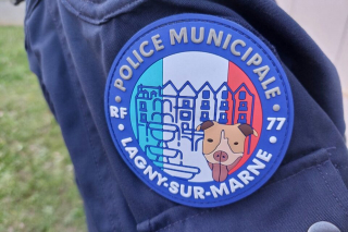 Illustration de l'article : De victime à héroïne : cette chienne maltraitée par un dealer devient détectrice de drogues pour la police