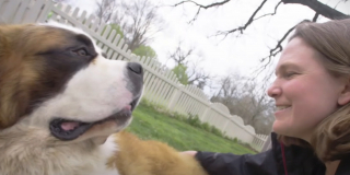 Illustration de l'article : Une femme loue une voiture et parcourt plus d’un millier de kilomètres pour rencontrer un Saint-Bernard abandonné