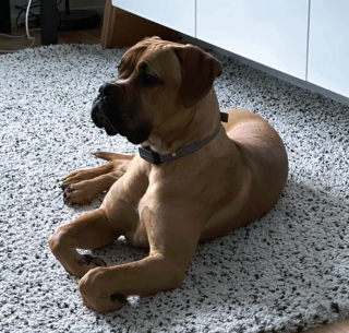 Illustration de l'article : 16 photos drôles et touchantes d'animaux surpris en pleine folie