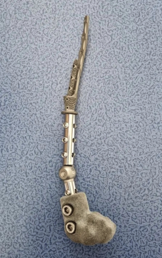 Illustration de l'article : Une prothèse intra-osseuse imprimée en 3D redonne espoir et mobilité au chien Lucky (vidéo)